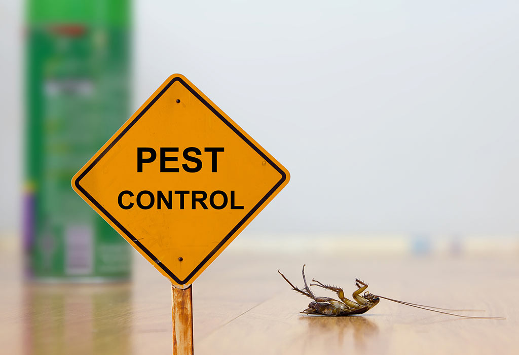 Commercial pest control 