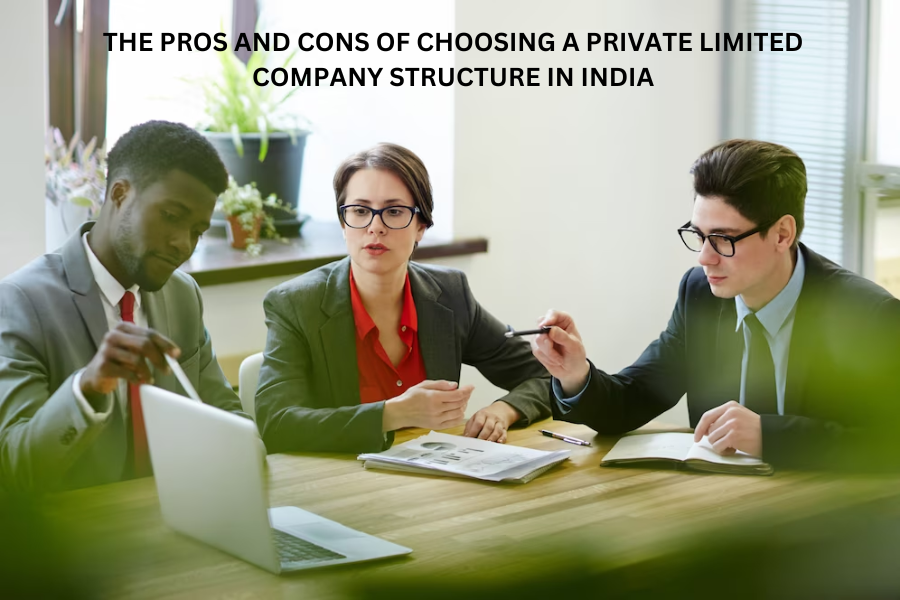 The Pros and Cons of Choosing a Private Limited Company Structure In India